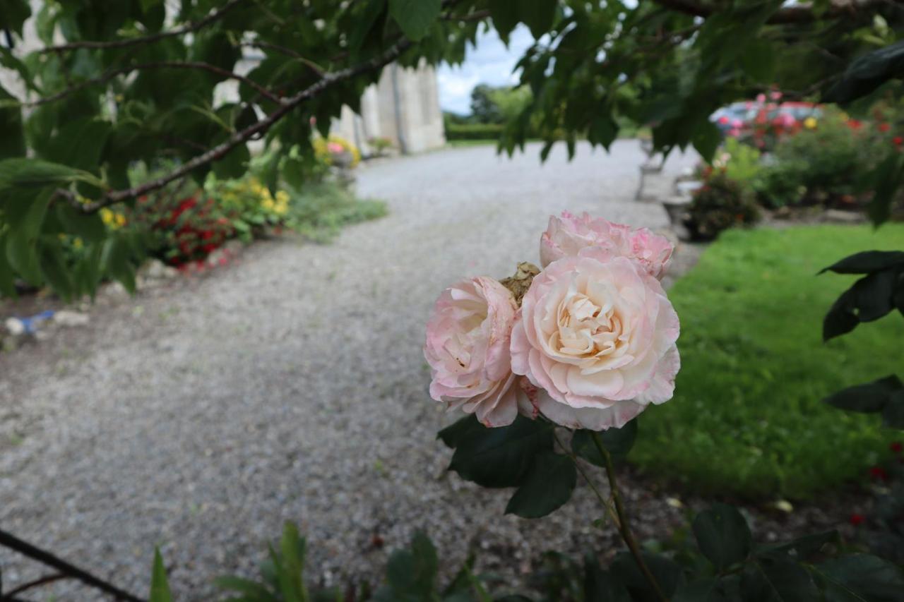 Bagenalstown Lorum Old Rectory מראה חיצוני תמונה